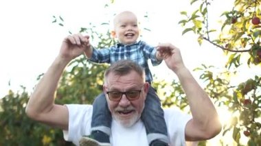 Mutlu büyükbaba omuzlarında neşeli bir torun taşıyor. Aile gün batımında bahçede eğlenir. Büyükbaba ve torun.