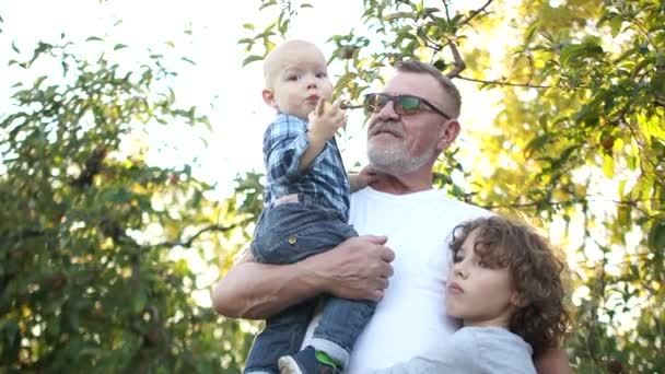 Feliz abuelo y sus dos nietos se abrazan en el huerto de manzanas al atardecer. El niño está en los brazos de un abuelo barbudo, un hermano adolescente rizado está de pie junto a él. Familia feliz — Vídeos de Stock