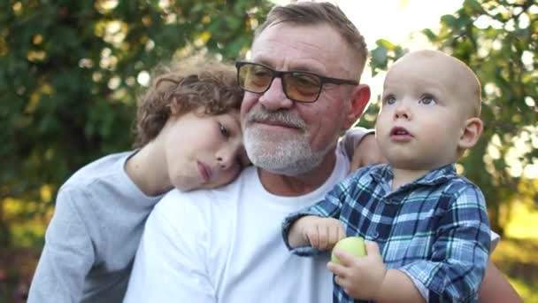 Todler eats an apple in the apple orchard with his grandfather and older brother. Grandfather tears apple root, happy family — Wideo stockowe