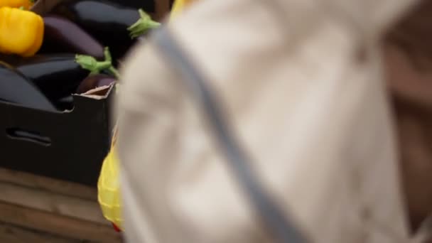 Mujer joven lleva compras de la tienda de comestibles. En la bolsa de hilo hay pimientos rojos y amarillos. Eco Packaging, Zero Waste Concept — Vídeo de stock