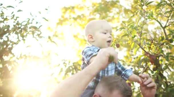 Grandfather, daughter and grandson. A man holds the baby on his shoulders and bends him to his daughter, all three people laugh merrily. Happy family resting in the apple orchard at sunset — Stockvideo