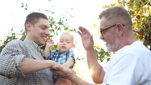 Tre män, tre generationer av samma familj, farfar, son och sonson klappar varandras händer, lär barnet att säga hej. Lycklig familj i äppelträdgården i solens strålar — Stockvideo