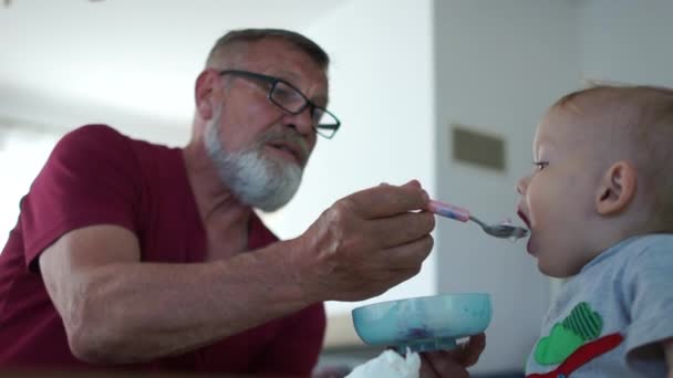 Abuelo en gafas y con barba gris se alimenta de la cuchara de su nieto. Familia feliz de abuelo y nieto — Vídeos de Stock
