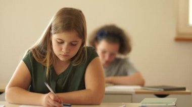 Çalışkan öğrenci işi tamamladı ve elini kaldırdı. Okuldaki son sınav. Sınıftaki bir kızın portresi.
