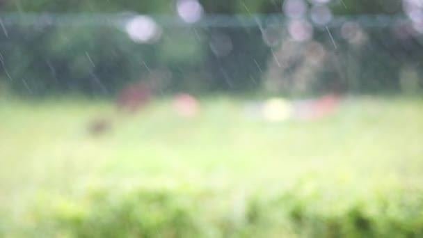 关上雨滴。夏天的雨在村里。湿季，夏季雷雨 — 图库视频影像