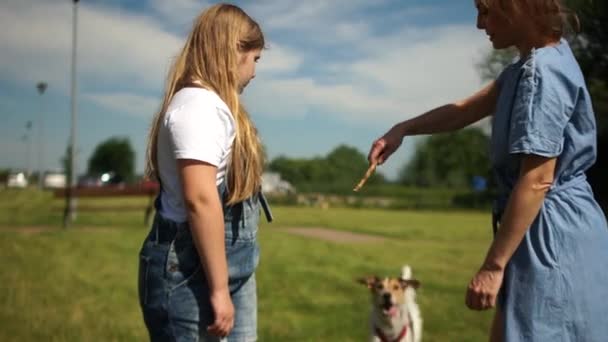 Mother and daughter are playing with their pet. Dog fun jumping for a stick. A happy family time in nature at summer day — Stock Video