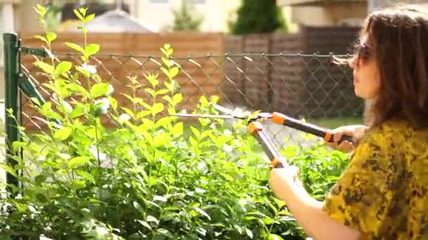 La niña sostiene las tijeras en sus manos y poda ramas. Trabajos de jardinería, cortar arbustos. Retrato cercano de una joven encantadora con gafas de sol en su jardín — Vídeo de stock