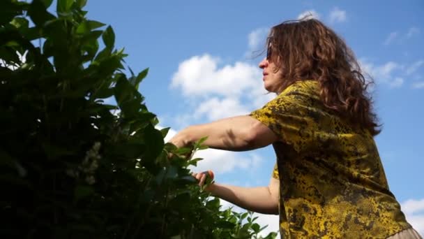 Jonge vrouw met een zonnebril snijdt struiken met tondeuses in haar tuin. Zomer weekend, borstelsnijders — Stockvideo