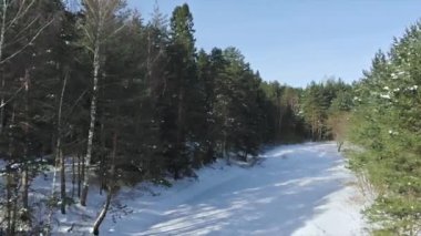 Rus çam ormanında donmuş nehrin pürüzsüz ve istikrarlı havadan çekilmiş görüntüsü, güzel güneşli, soğuk ve karlı doğa.