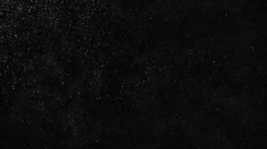 Soldan sağa gerçek kar taneleri düşen, hızlı kar, siyah arka plan, mat, geniş açı, sorunsuz döngülü animasyon, izole, dijital kompozisyon için mükemmel, post-prodüksiyon