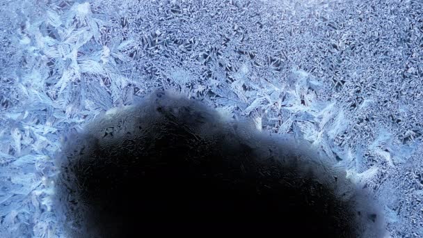 美丽的冷冻窗口融化动画从下到上 延时消霜过渡 自然溶解 隔离在黑色背景与黑色和白色亮度哑光 阿尔法通道 — 图库视频影像
