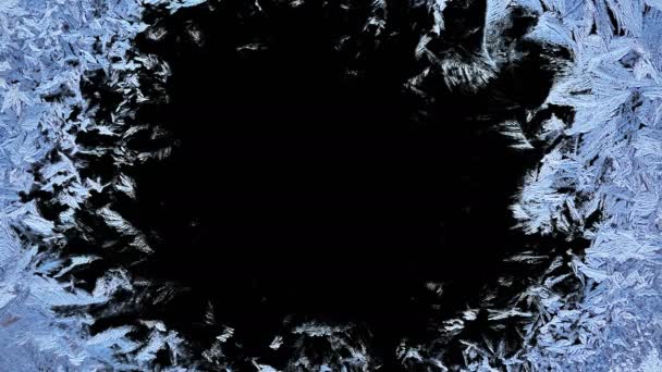 美丽的窗口冻结动画从边界到中心 延时霜形成过渡 自然水晶结冰 隔离在黑色背景与黑色和白色亮度哑光 阿尔法通道 — 图库视频影像