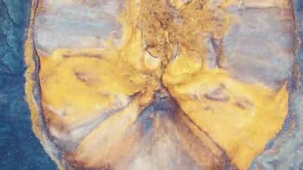 Красочные Блестящие Краски Смешиваются Красивых Узорах Масляные Чернила Желтого Синего — стоковое видео