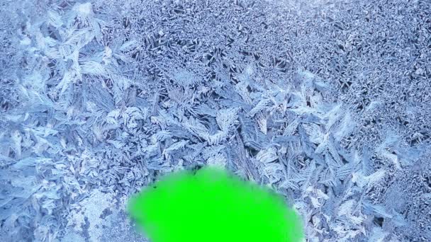美丽的冷冻窗口融化动画从下到上 延时消霜过渡 自然溶解 隔离在绿色色度键背景哑光 阿尔法通道 — 图库视频影像