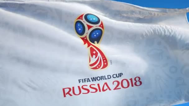 Russia Moscow June 2018 Fifa 2018 World Cup Flag Waving — Stock Video