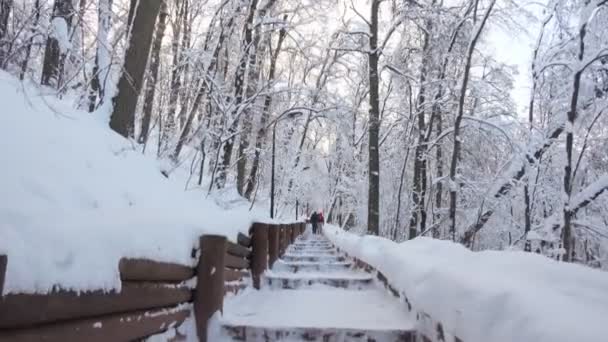 Suave Câmera Constante Filmado Longo Caminho Estreito Inverno Russo Moscovo — Vídeo de Stock