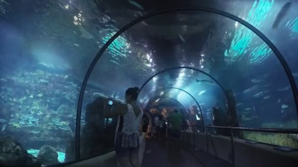 Spanien Barcelona Juli 2017 Beautiful Barcelona Fish Oceanarium Tunnel Djupa — Stockvideo