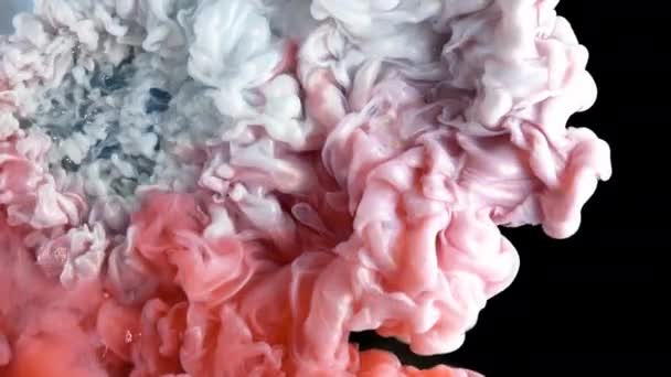 Animación Abstracta Explosión Del Humo Nube Acrílica Coloreada Vista Cerca — Vídeo de stock