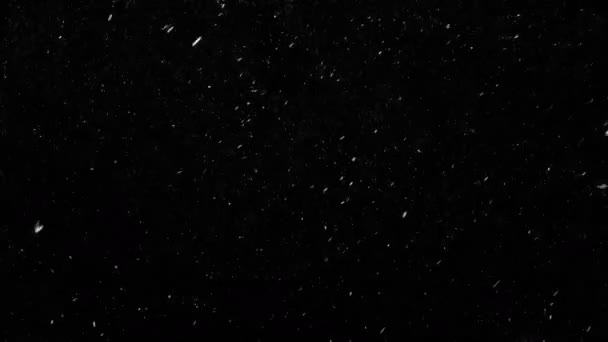 从左到右掉落真正的雪花 快速降雪 在黑色背景拍摄 无缝循环动画 非常适合数字合成 后期制作 — 图库视频影像