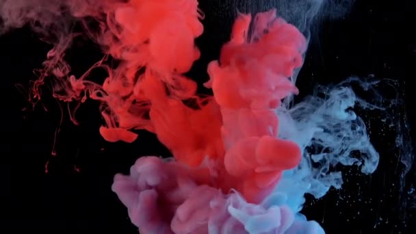 Цветные Акриловые Облака Абстрактная Анимация Взрыва Дыма Закрыть Вид — стоковое видео