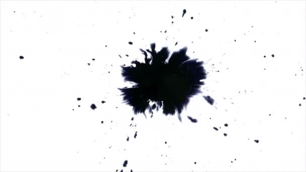 Beautiful Watercolor Ink Drops White Paper Paint Bleed Bloom Black — Stock Video