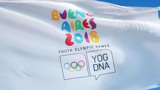 Аргентина Буэнос Айрес Октябрь 2018 Флаг Летних Юношеских Олимпийских Игр — стоковое видео