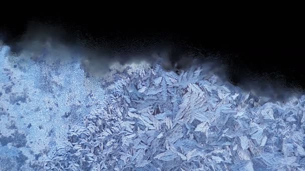 美丽的冷冻窗口融化动画从上到下 延时消霜过渡 自然溶解 隔离在黑色背景与黑色和白色亮度哑光 阿尔法通道 — 图库视频影像
