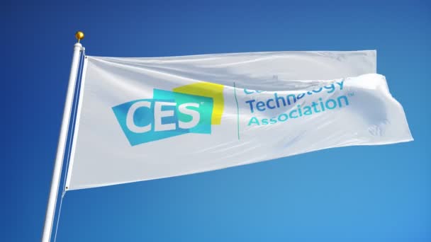 International CES flag vinker i slowmotion mod blå himmel . – Stock-video