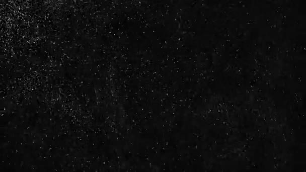 从左到右掉落真正的雪花 快速降雪 在黑色背景拍摄 无缝循环动画 非常适合数字合成 后期制作 — 图库视频影像