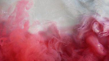 Yukarıdan renkli kırmızı / beyaz boya damlaları suya karışıyor. Mürekkep suyun altında dönüyor. Mürekkep bulutu izole edildi. Renkli soyut duman patlaması animasyonu. Görüntüyü kapat