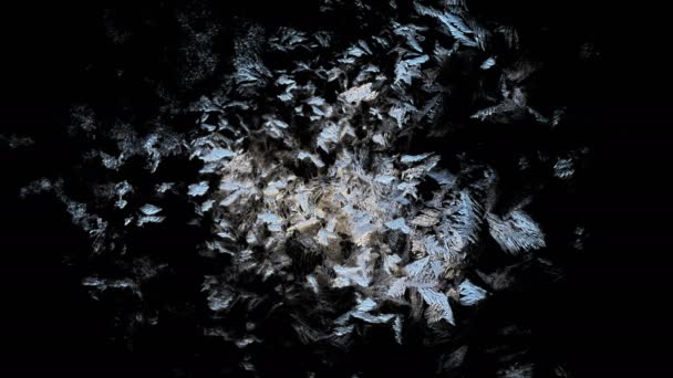 中央から境界線までの美しい窓凍結アニメーション タイムラプス霜形成遷移 自然な結晶アイシング 黒と白の輝度マット アルファチャンネルで黒の背景に隔離 — ストック動画