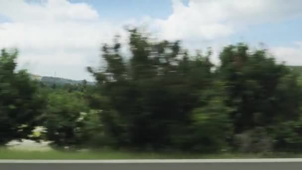 Prachtig Uitzicht Een Pittoresk Groen Landschap Vanaf Het Raam Van — Stockvideo