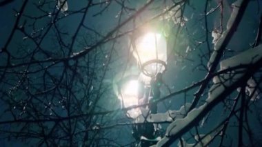 Güzel lens parlama ile lambanın soğuk ışıkta büyük pullar düşen kar ile ağaç dalları ile pitoresk sokak manzarası. Parkta Buzlu Rus kış gecesi.