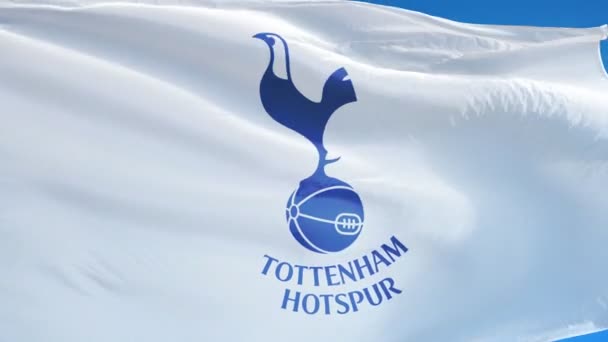 Ngiltere Londra Temmuz 2018 Tottenham Hotspur Bayrağı Mavi Gökyüzüne Karşı — Stok video