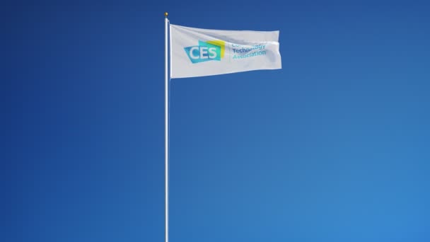 Международный флаг CES, размахивающий в замедленной съемке против голубого неба . — стоковое видео