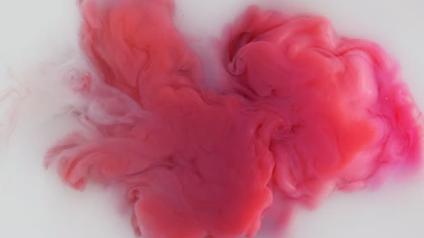 五颜六色的红色油漆从水中的左边混合 在水下轻柔地旋转 水墨云隔离 彩色抽象烟雾爆炸动画 特写视图 — 图库视频影像