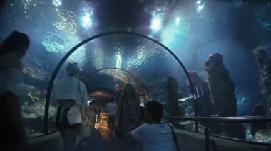 İspanya Barselona Temmuz 2017: Güzel Barselona balık oceanarium tüp tünel, derin panoramik sualtı dünyası, akvaryumda yüzen farklı su hayvanı türleri, ışık ışınları parlayan deniz sahnesi görünümü