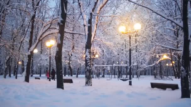 Piękny Wieczór Park Zimowy Scena Drzew Ziemi Pokryte Śniegiem Żółte — Wideo stockowe