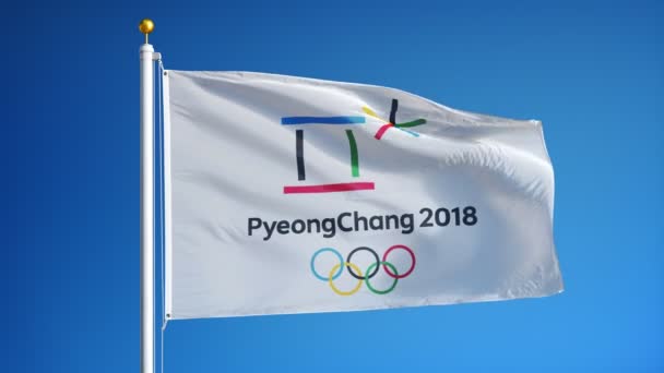 Sydkorea Pyeongchang Februari 2018 Olympiska Vinterspelen Flagga Vinka Slow Motion — Stockvideo