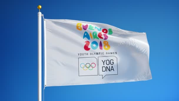 阿根廷布宜诺斯艾利斯2018年10月 夏季青年奥运会旗帜在蓝天上缓慢地飘扬 编辑动画 无缝循环 在阿尔法频道上孤立 — 图库视频影像