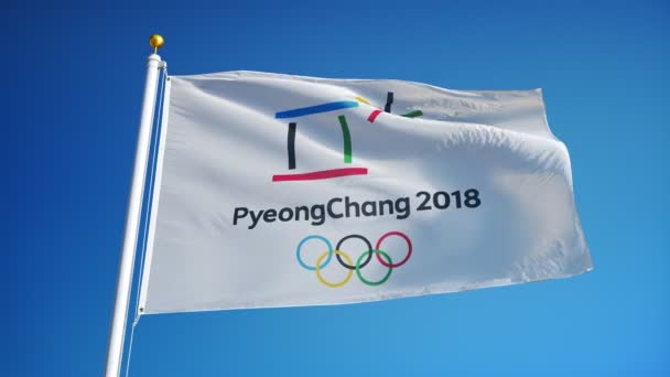 Corée Sud Pyeongchang Février 2018 Drapeau Des Jeux Olympiques Hiver — Video