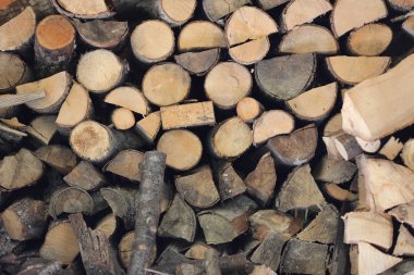 Kış için kesip odun