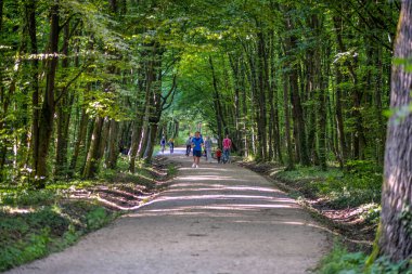İnsanlar parkta yürüyorlar Maksimir. Zagreb, Hırvatistan, 2020 ilkbaharında.