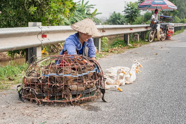 Ninh Binh Vietnam Octubre 2017 Mujer Vietnamita Vendiendo Patos Carretera —  Fotos de Stock