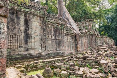 Preah Khan Angkor, Kamboçya, bir Budist tapınağında 12. yüzyılda inşa edilmiş. Bu kuruluş, neredeyse 100,000 yetkilileri ve görevlileri ile merkezi oldu. Ağaçlar ve diğer bitki örtüsü tarafından büyümüş yapıldı..