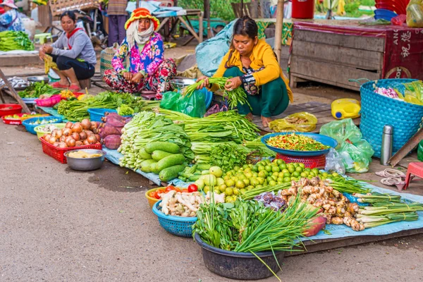 Stung Treng Камбоджа Ноября 2017 Года Женщина Продающая Овощи Рынке — стоковое фото