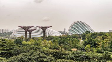 Supertree Grove, benzersiz dikey bahçeleri büyük Kanopiler ve renkli ışıklar gece ile çok yüksek ağaçlar benzeyen. Çiçek kubbe ve bulut orman binalarda, Bay Singapur bahçelerle arka plan