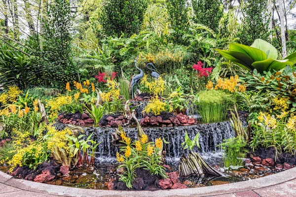 Singapur Ocak 2018 Singapur Botanik Bahçeleri Içinde Yer Alan Güzel — Stok fotoğraf