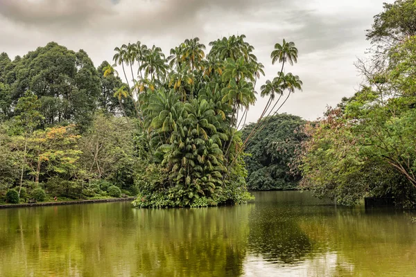 Vista Del Paisaje Isla Palm Tress Lago Swan Singapore Botanical —  Fotos de Stock