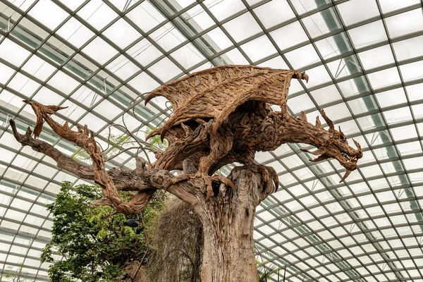 Drachenstatue Aus Holzwurzeln Wintergarten Der Blumenkuppel Der Bucht Von Singapore — Stockfoto